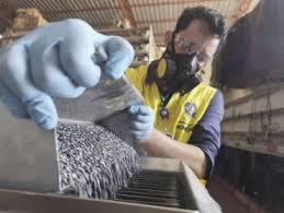 Governo de Rondônia intensifica combate a fraudes na venda de sementes agropecuárias