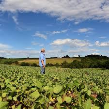 Produtores de Rondônia terão acesso a linhas especiais para renegociar dívidas