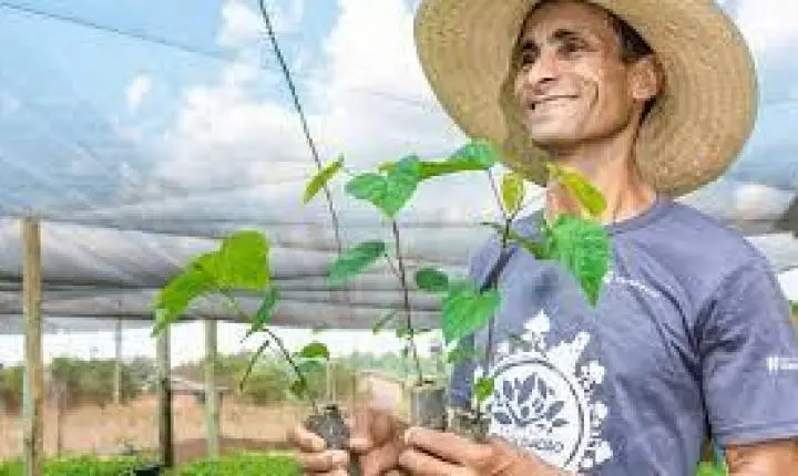 Ecoporé lança nova fase do Viveiro Cidadão com foco em bioeconomia e justiça climática